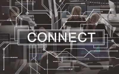 Network Design for Businesses: What You Need to Know